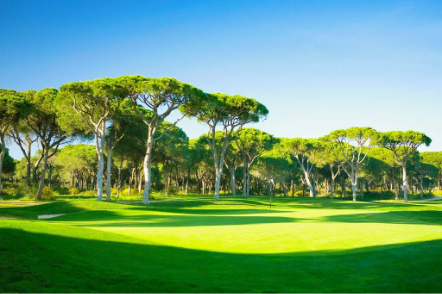 CFU_82111_palio-palace-&-golf-package-2_061125_01.jpg
